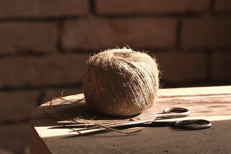 Jute Mark India: Pioneering Collective Identity and Quality Assurance for Traditional Jute Products (Photo Source: Pixabay)