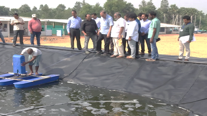 Secretary of Fisheries Explores Cutting-Edge Technologies During Visit to Srikakulam's Shrimp Farms (Photo Source: PIB)