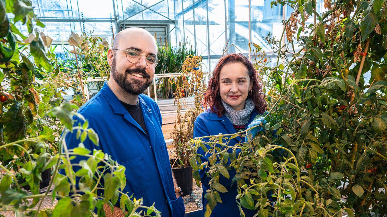 (L-R) Alex Cantó-Pastor and Professor Siobhan Brady, Department of Plant Biology (Courtesy: ucdavis.edu)