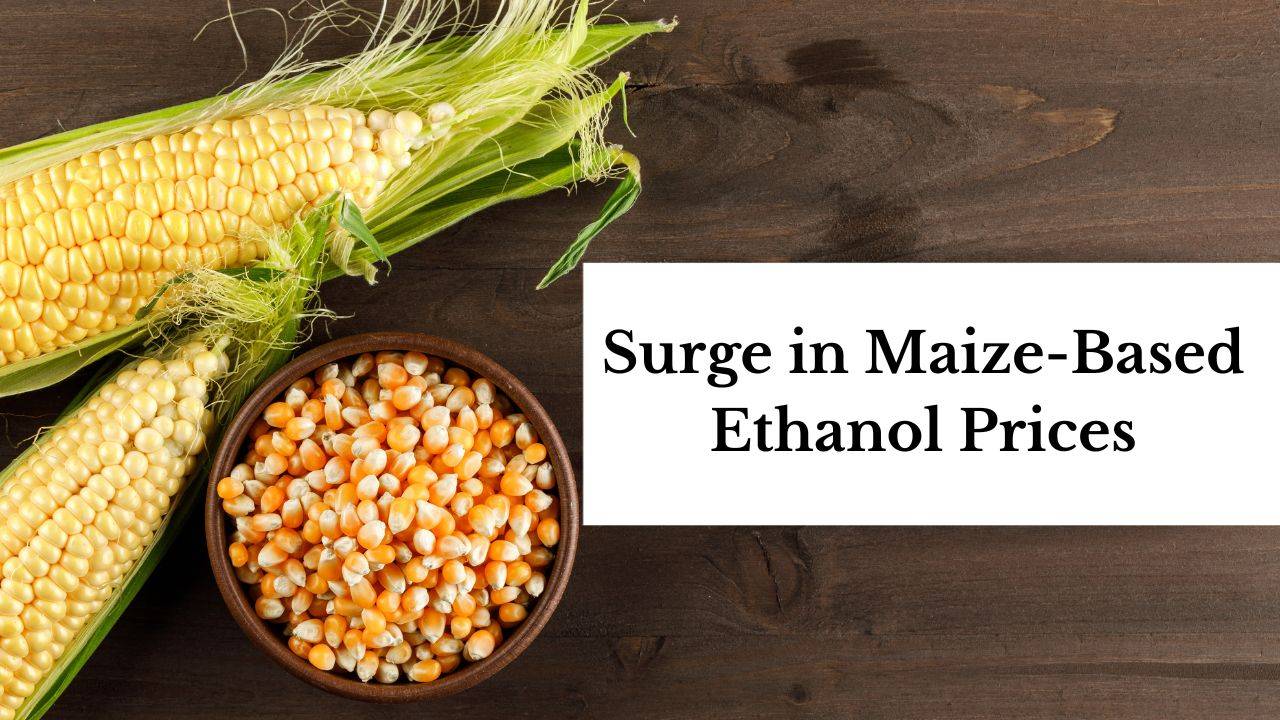 The procurement price of ethanol produced from maize has been raised to Rs 71.86 per litre (Picture Courtesy: Freepik)