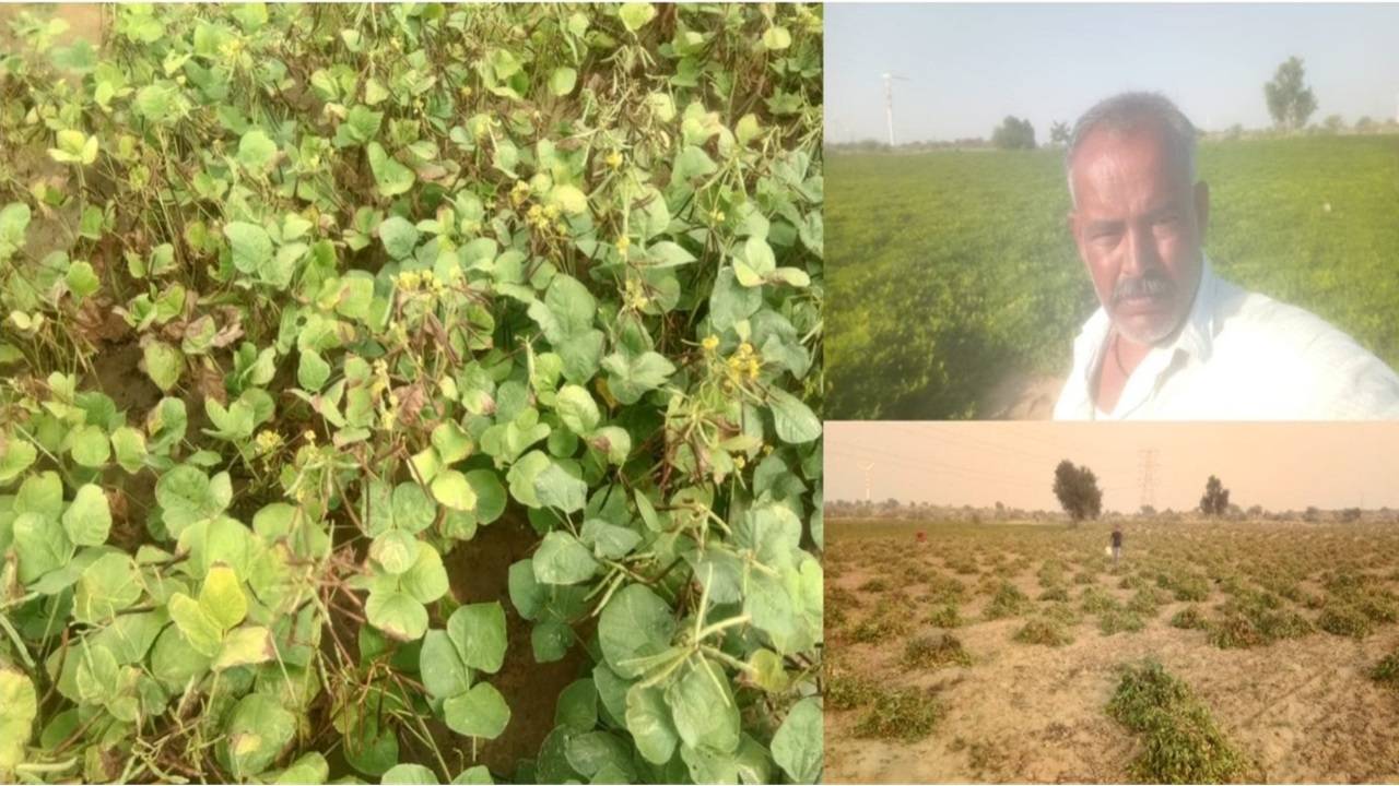 Khet Singh, Farmer, Rajasthan