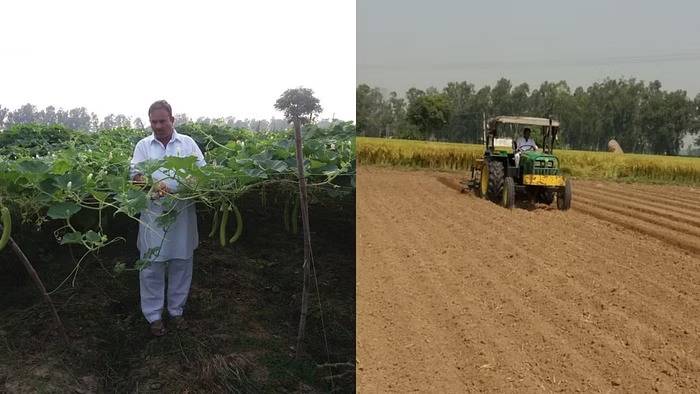 Mahendra Singh altered his farming methods, incorporating changes in irrigation techniques and reducing costs resulting in maximised profits