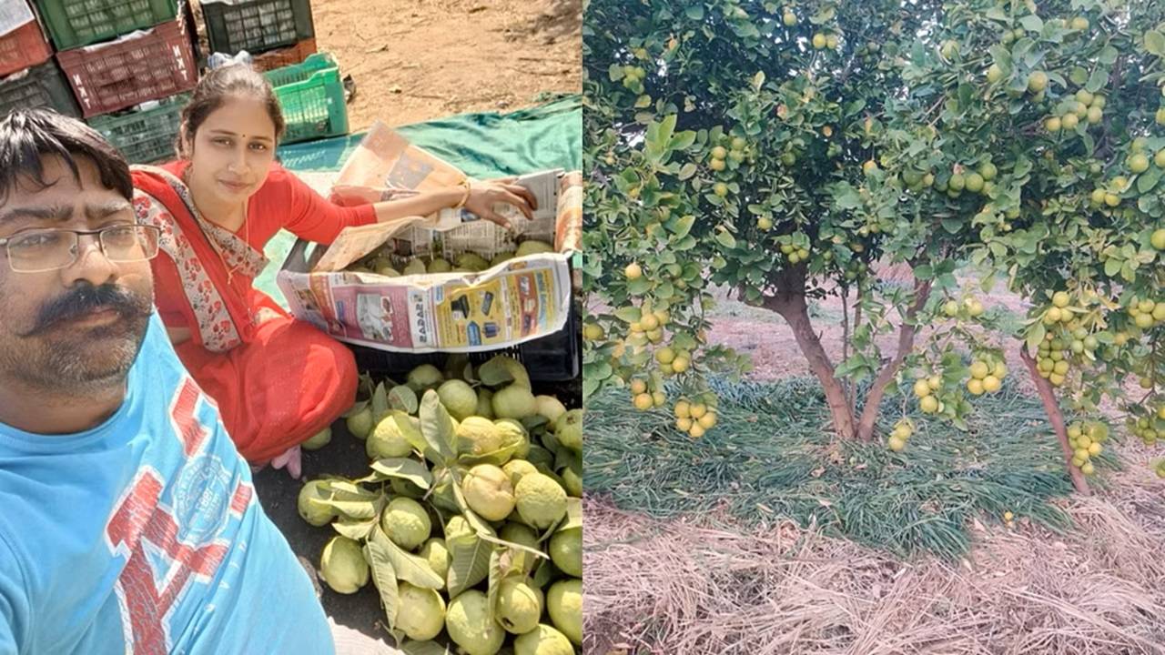 Abhishek Jain, the 'Lemon King' of Rajasthan