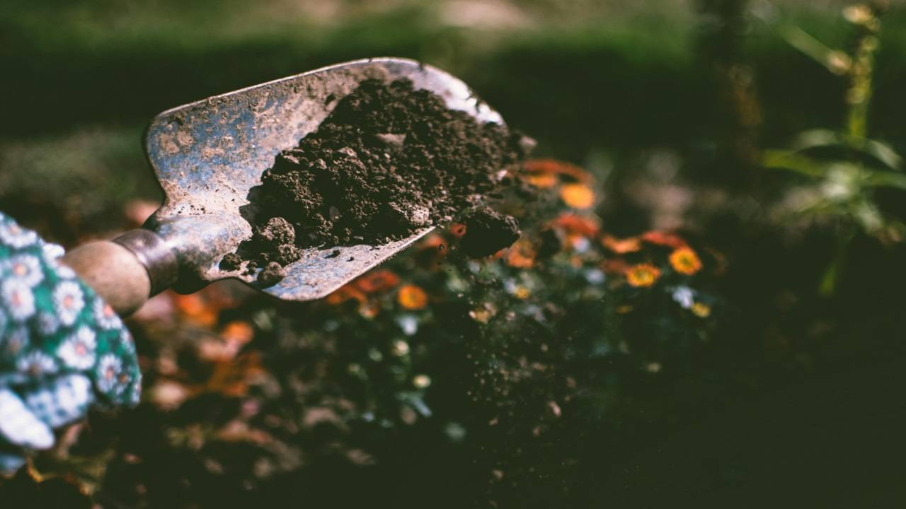 The Soil Health Card Scheme has a total outlay of Rs. 568.54 crore for three years, starting in the fiscal year 2015-16. (Picture Source: Pexels)