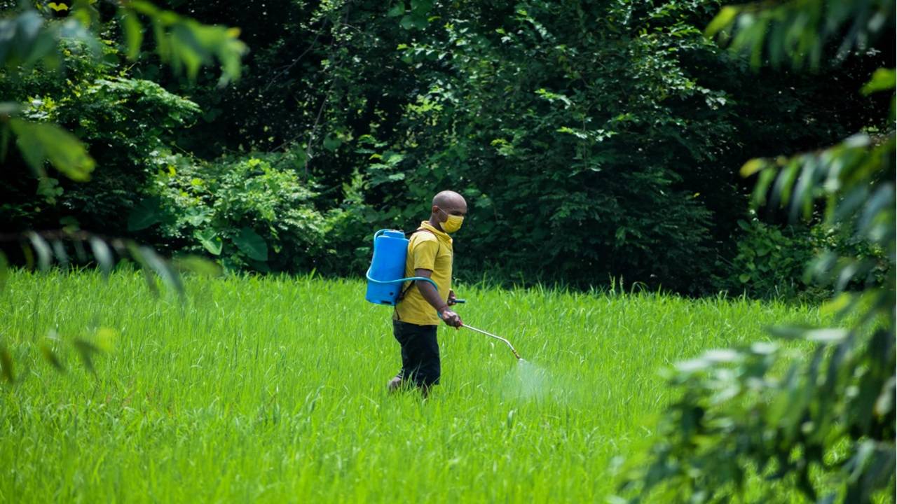 The move to fix the price of Urea Gold by adjusting the bag's weight aims to bring stability to the pricing dynamics of fertilizers. (Picture Courtesy: Pexels)