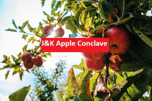 J&K Apple Conclave