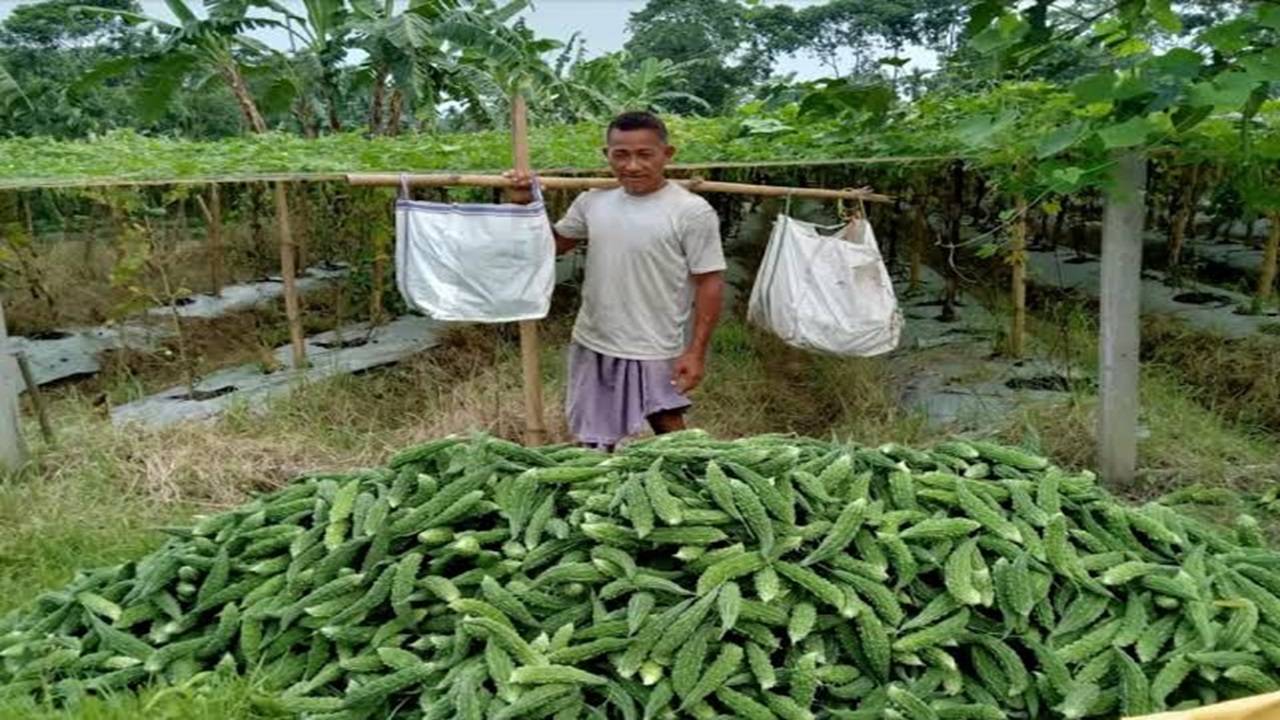 Assam Daily Wager Turned Farmer Sarbeswar Basuramatary. (Photo Courtesy: Twitter/PIB)