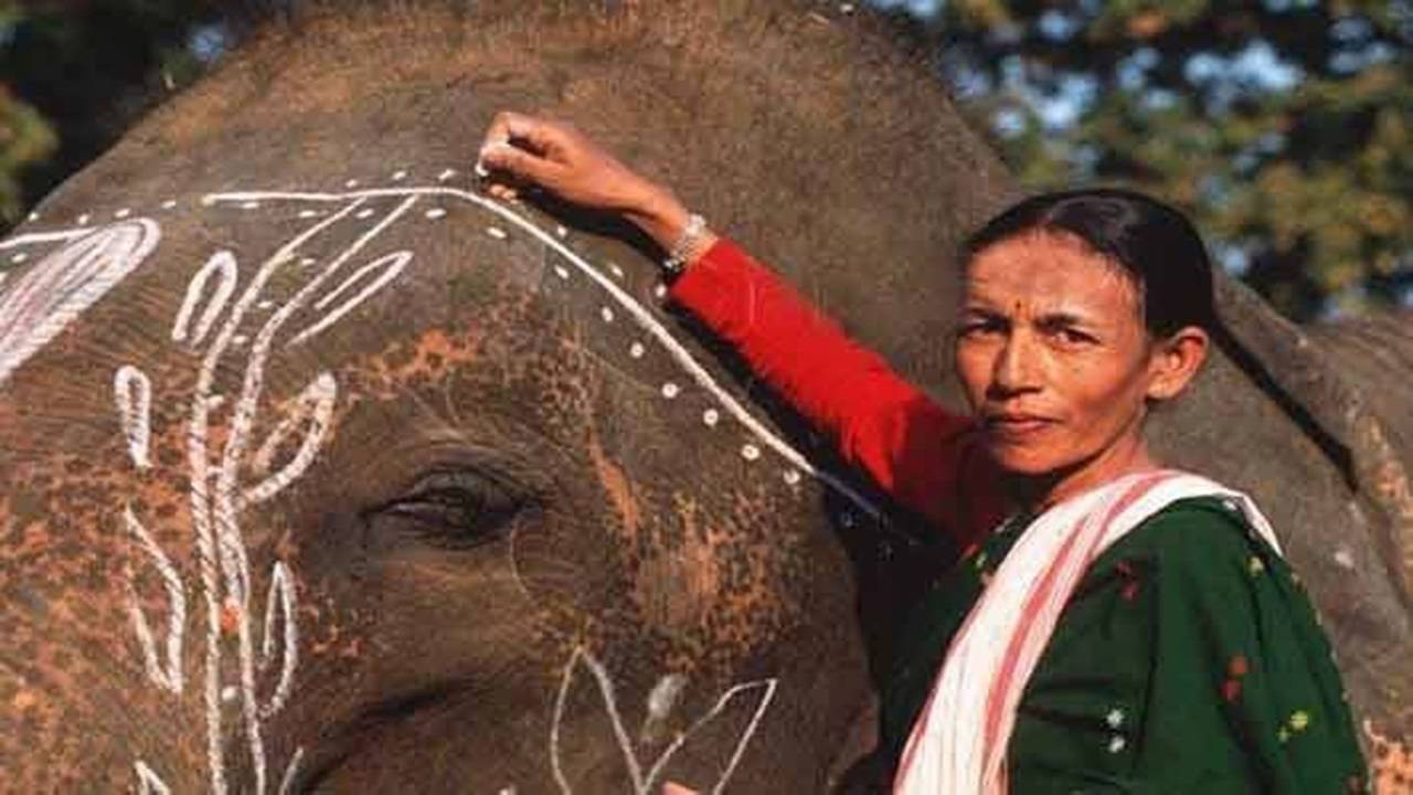 India's First Female Elephant Mahout Parbati Baruah (Photo Courtesy: Twitter/MIB)