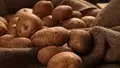 Tips for Potato Harvesting to Maximise Profits