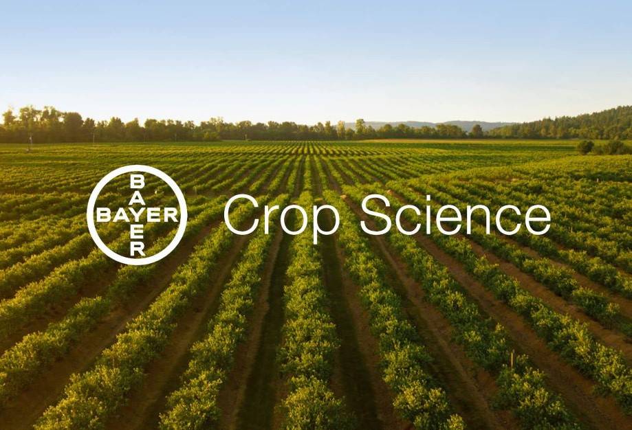 Bayer CropScience Limited Releases Q3 Financial Results for FY 2023-24 (Photo Source: GBR)