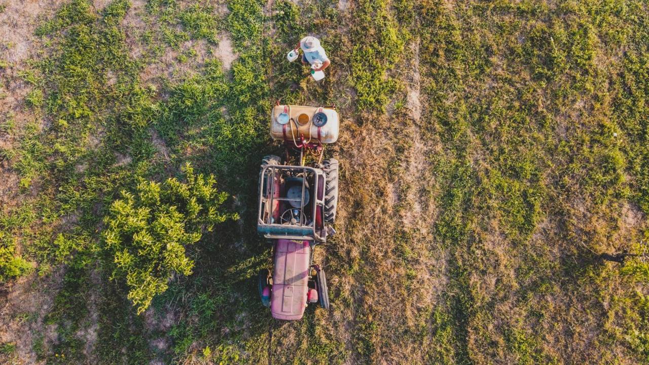 Thismove marks the second instance where federal courts have prohibited these weedkillers since their introduction for the 2017 growing season. (Representational Image, Picture Courtesy: Pexels)