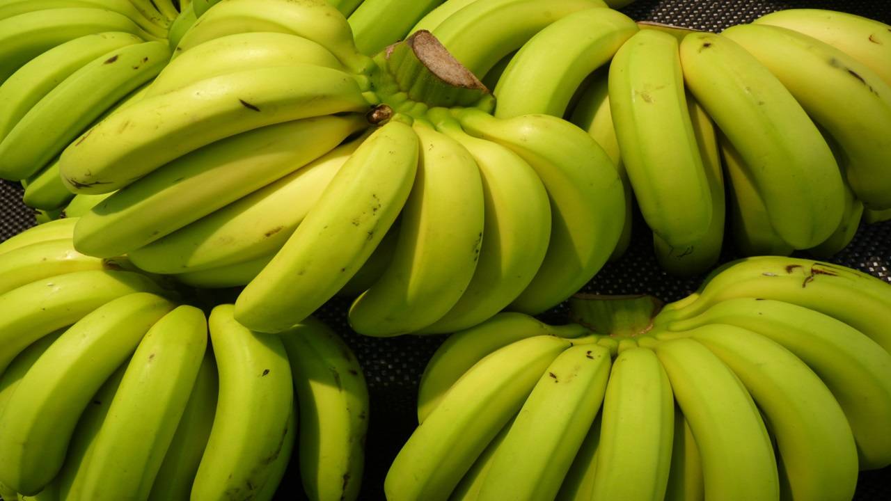 Russia's decision to diversify its banana imports arose when Ecuador opted to exchange high-tech American weaponry. (Representational Image, Courtesy: Freepik)