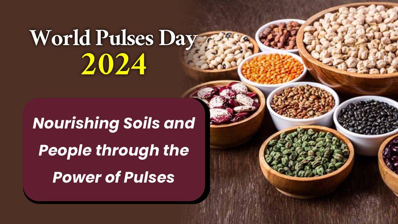 Celebrating World Pulses Day 2024: Nourishing Soils and People through the Power of Pulses (Photo Courtesy: Krishi Jagran)