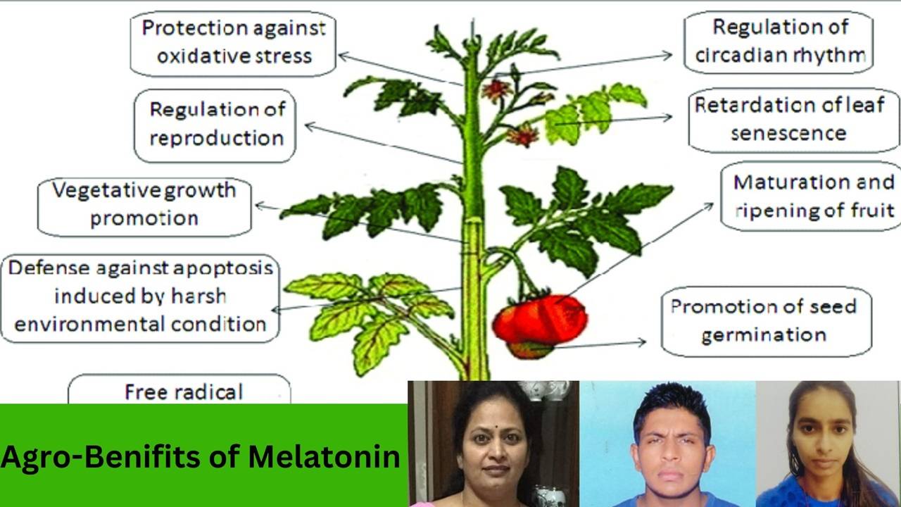 Sridevi Tallapragada, Professor of Botany cum Coordinator Krishi Vigyan Kendra, Ashish Kumar, Subject matter specialist, Shweta, Research Scholar (L-R)