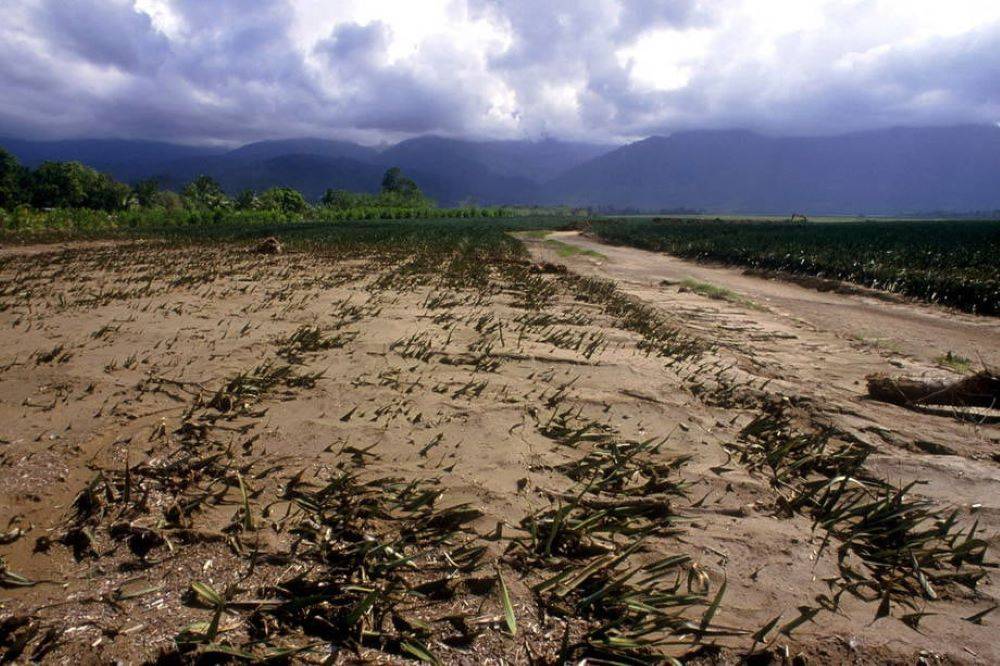 Declining El Nino: Potential Impact on India in the Coming Year (Photo Source: UN)