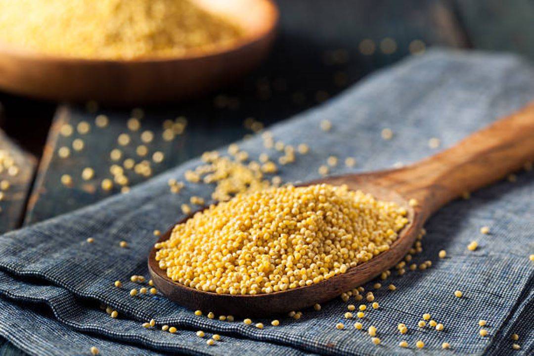 APEDA Empowers Sangrur Farmer's Debut Millet Export Valued at USD 45803 (Representational Photo Source: Pexels)