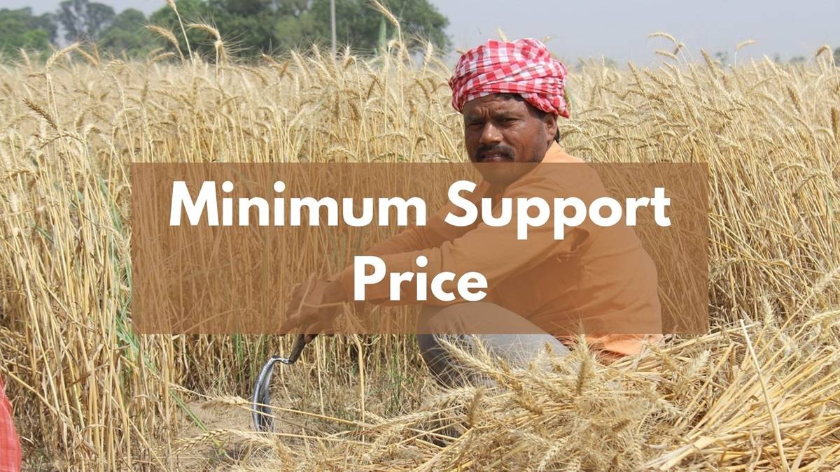 Minimum Support Price Explained: All You Need to Know from Covering Crops to Concerns and Misconceptions (Photo Source: Pixabay)