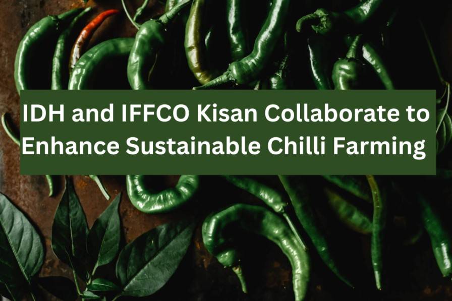 IDH and IFFCO Kisan Collaborate to Enhance Sustainable Chilli Farming in Andhra Pradesh (Representative Photo Source: Pexels)