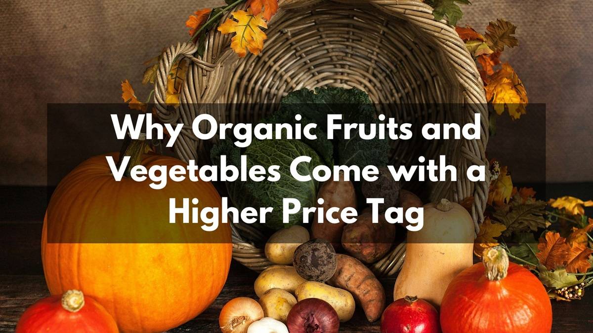 Why Organic Fruits and Vegetables Come with a Higher Price Tag? Explained (Photo Source: Pexels)