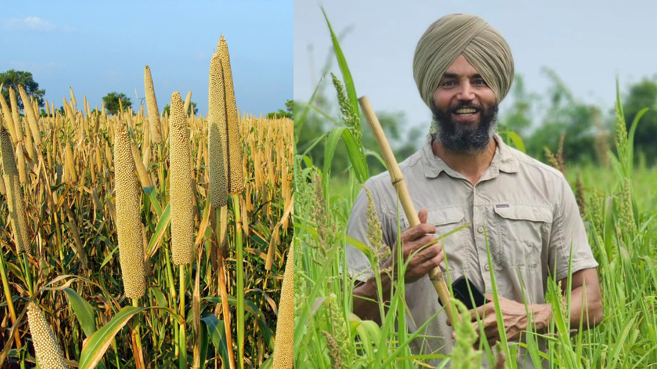 Dilpreet Singh consumes millets everyday and says it has made him fit | Courtesy: Dilpreet Singh, Pixabay