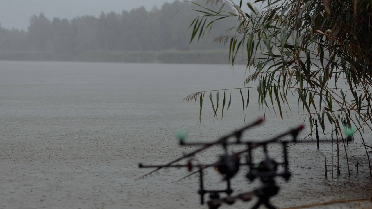 A western disturbance has affected the weather patterns across North India from February 17 and may last till February 21, 2024. (Reprsentational Image, Courtesy: Pexels)