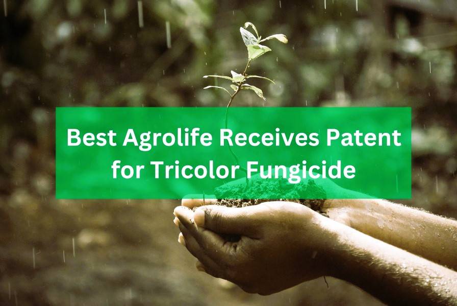 Best Agrolife Receives Patent for Innovative Fungicide 'Tricolor'