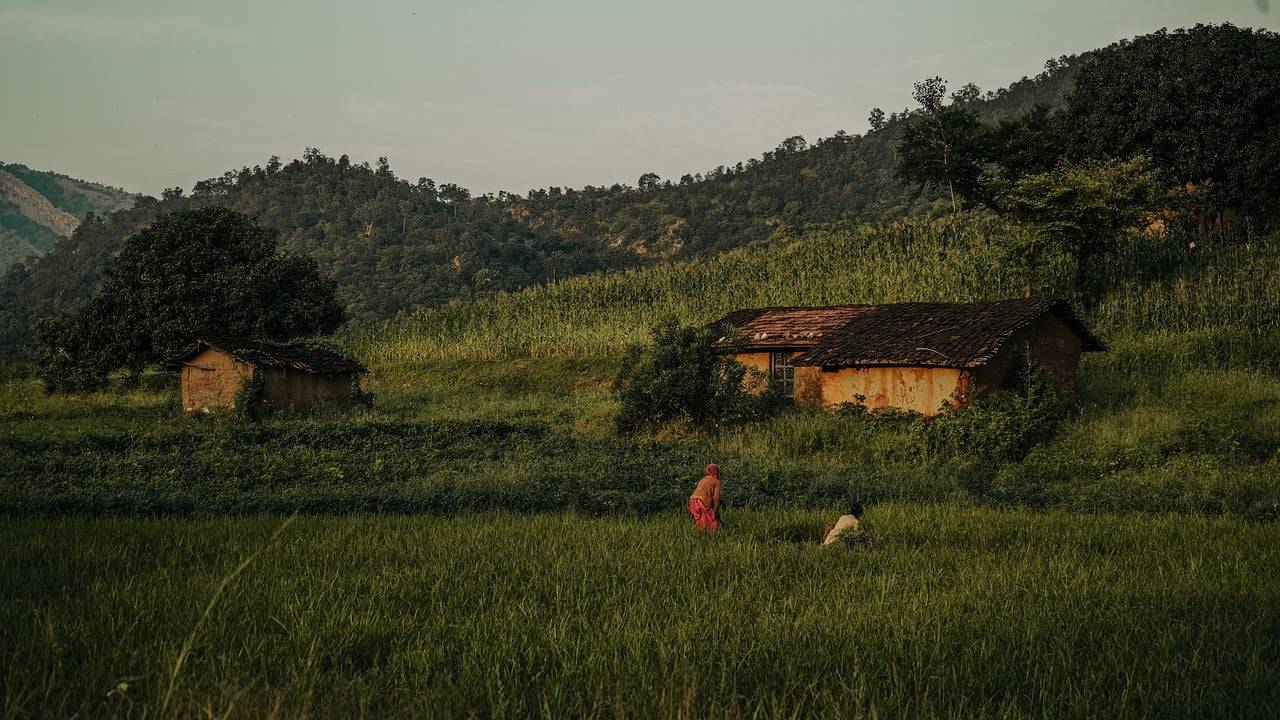 Tamil Nadu announced Plans for Climate-Smart Villages in Agriculture Budget (Photo Source: Pexels)