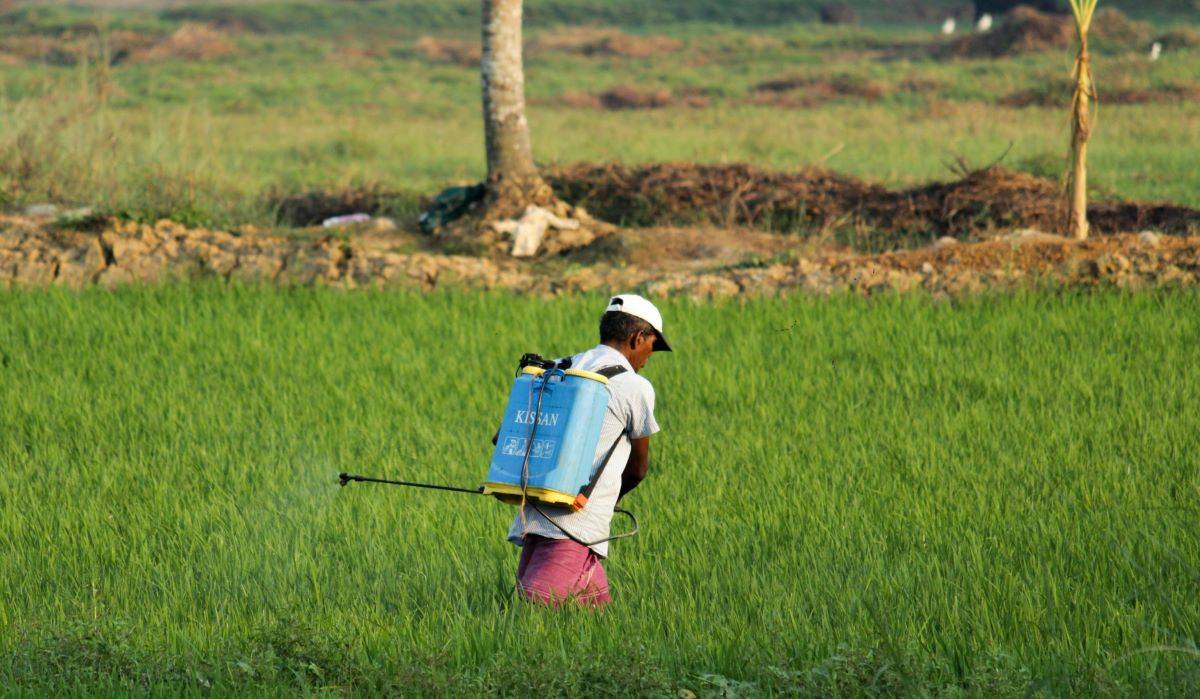 CVC Partners with Rajan Gajaria for Investments in Global Chemicals and CDMO Businesses (Representational Photo Source: Pexels)