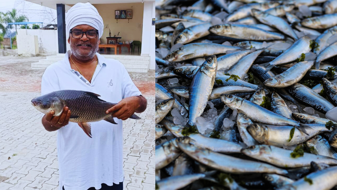 Kailash Narayan Singh has trained more than a hundred farmers in fish farming | Courtesy: Kailash Narayan Singh, Canva