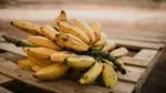 Healthier, Tastier, Safer: The Genetically Modified Banana That's Creating Buzz!