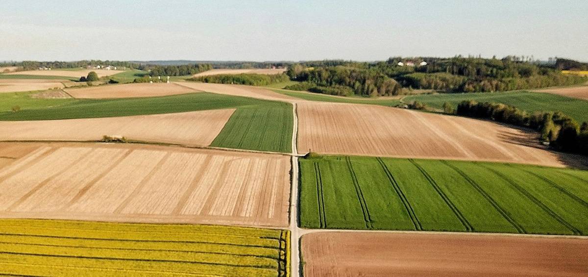 AI Predicts Changing Agricultural Land Suitability Dynamics Over the Next 25 Years (Photo Source: Pexels)