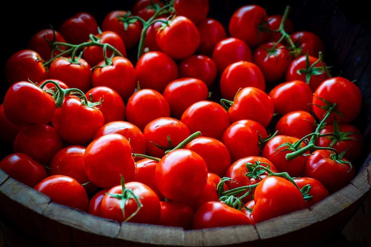 Grow Your Cherry Tomatoes With This Complete Guide (Photo Source: unsplash)