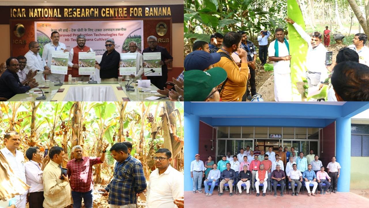 With Asia's largest gene bank for bananas, Dr R. Selvarajan, Director of ICAR-NRCB underscored the institution's global leadership in banana research.