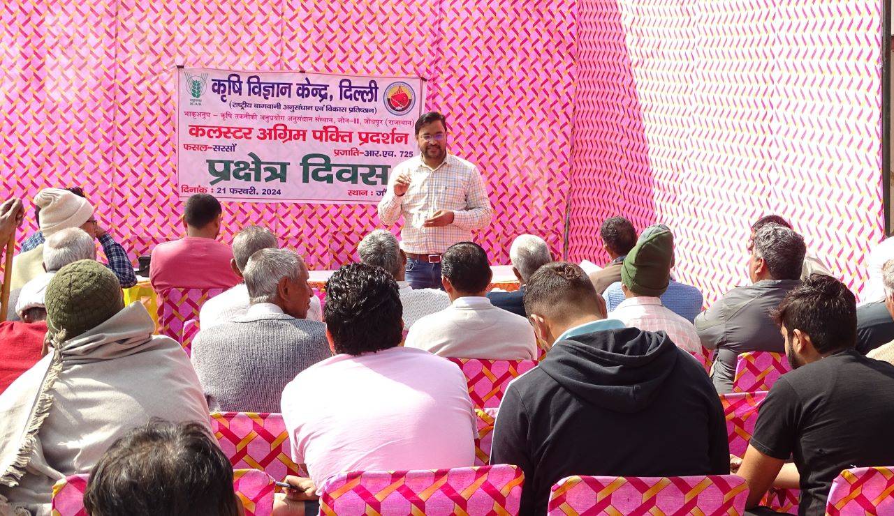 Krishi Vigyan Kendra, Ujwa New Delhi Hosts Field Day; Experts Offer Insights on Mustard Cultivation