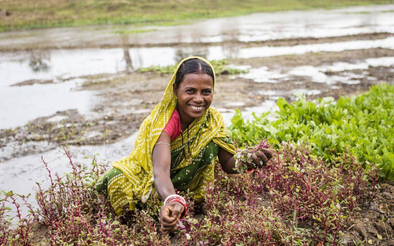 PM KISAN beneficiary farmer working in field (Photo Source: UNDP)