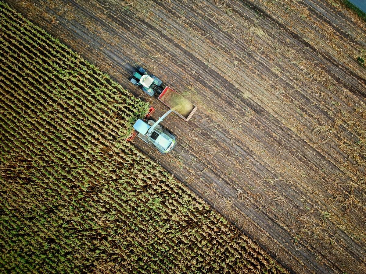 The Race to Modernize: Inside India's Farm Mechanization (Photo Source: Unsplash)