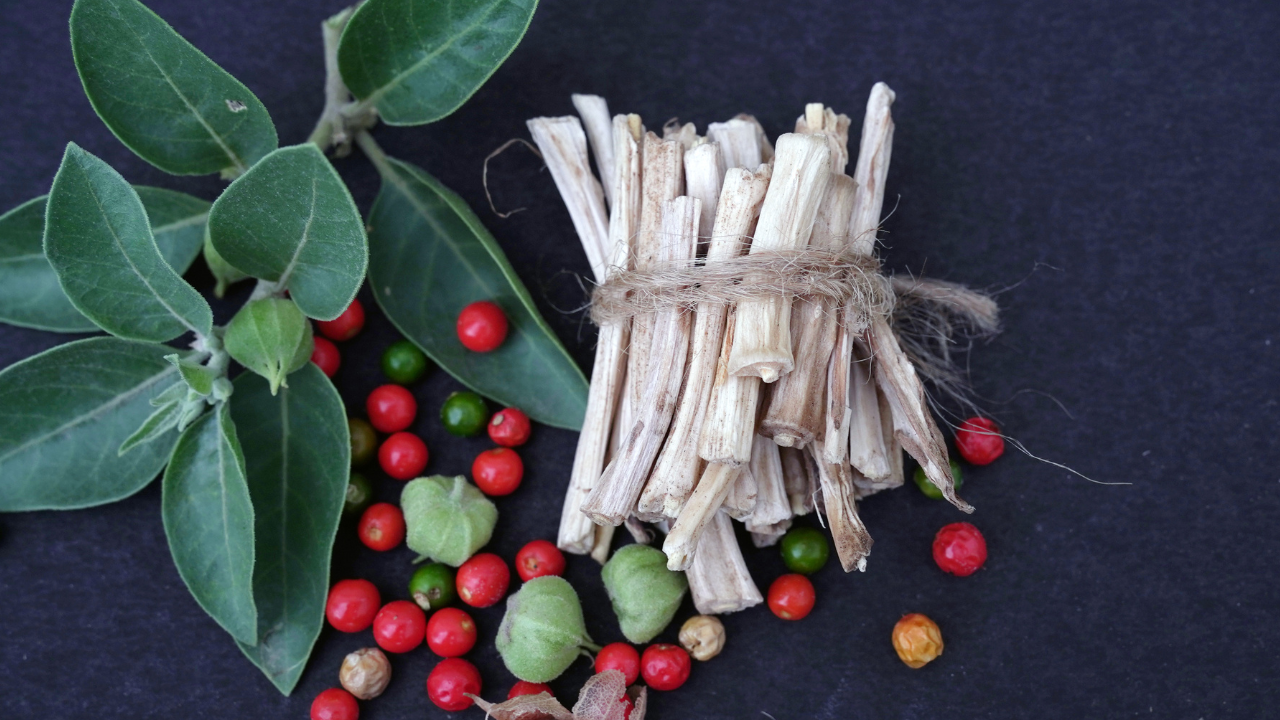 Explore the benefits of Ashwagandha (Image Source: Canva)