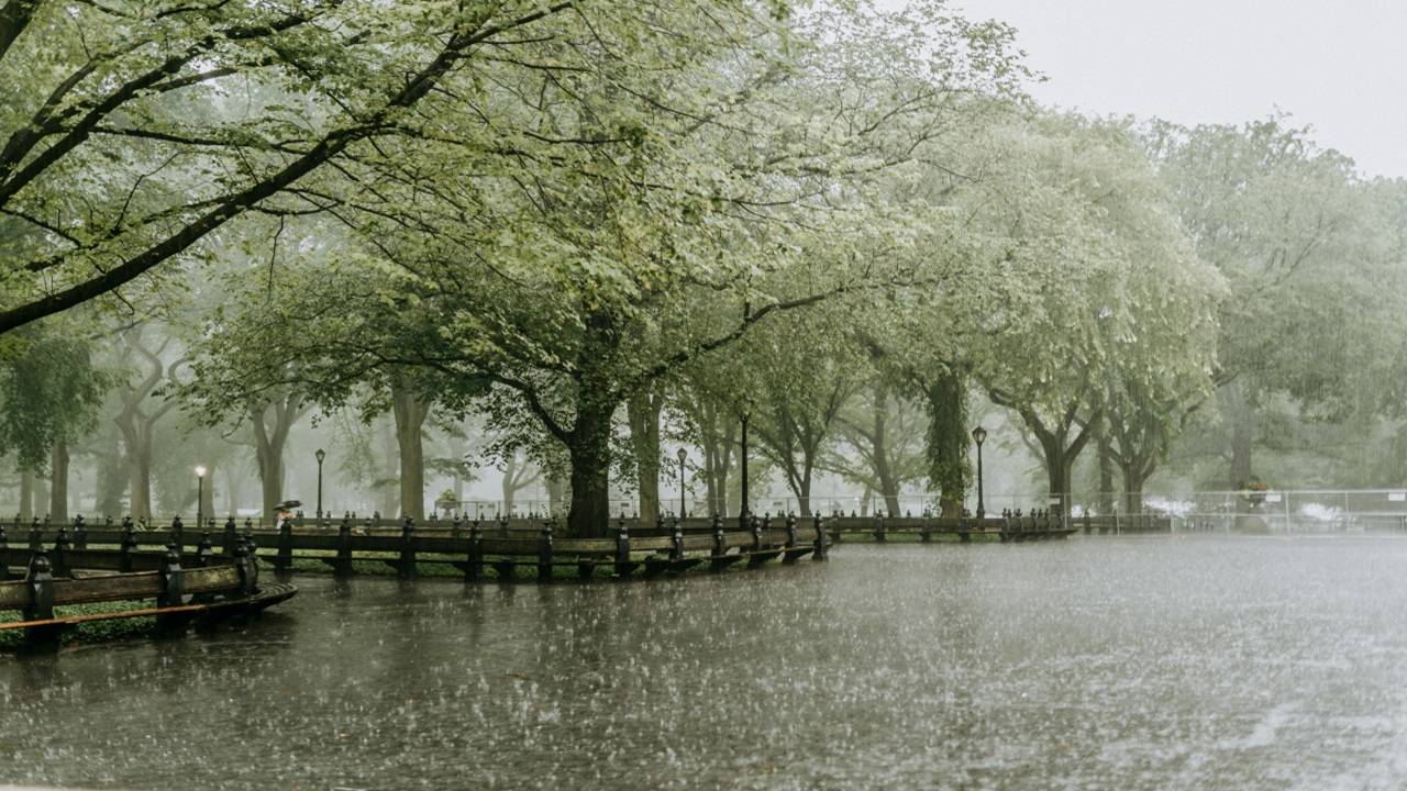 Indian Meteorological Department (IMD) released its forecast for the next five days, highlighting diverse weather patterns across different regions of the country. (Picture Courtesy: Pexels)