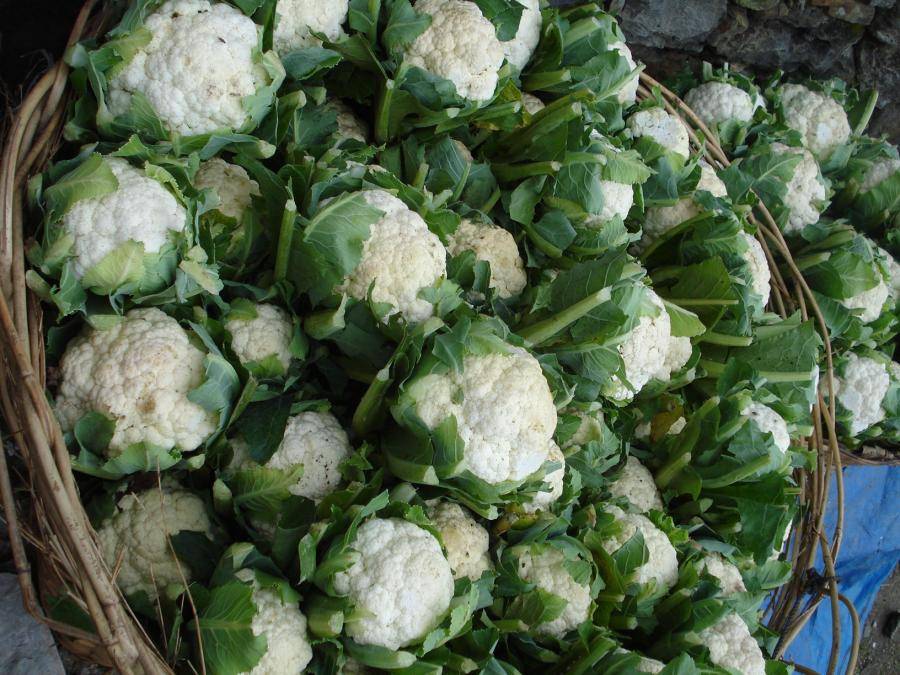 Cauliflower in the Basket