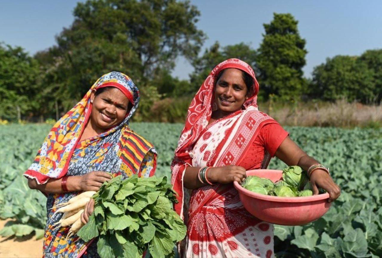 Vedanta's Jeevika Samriddhi Project Nurturing Growth and Hope Among Jharsuguda's Farmers