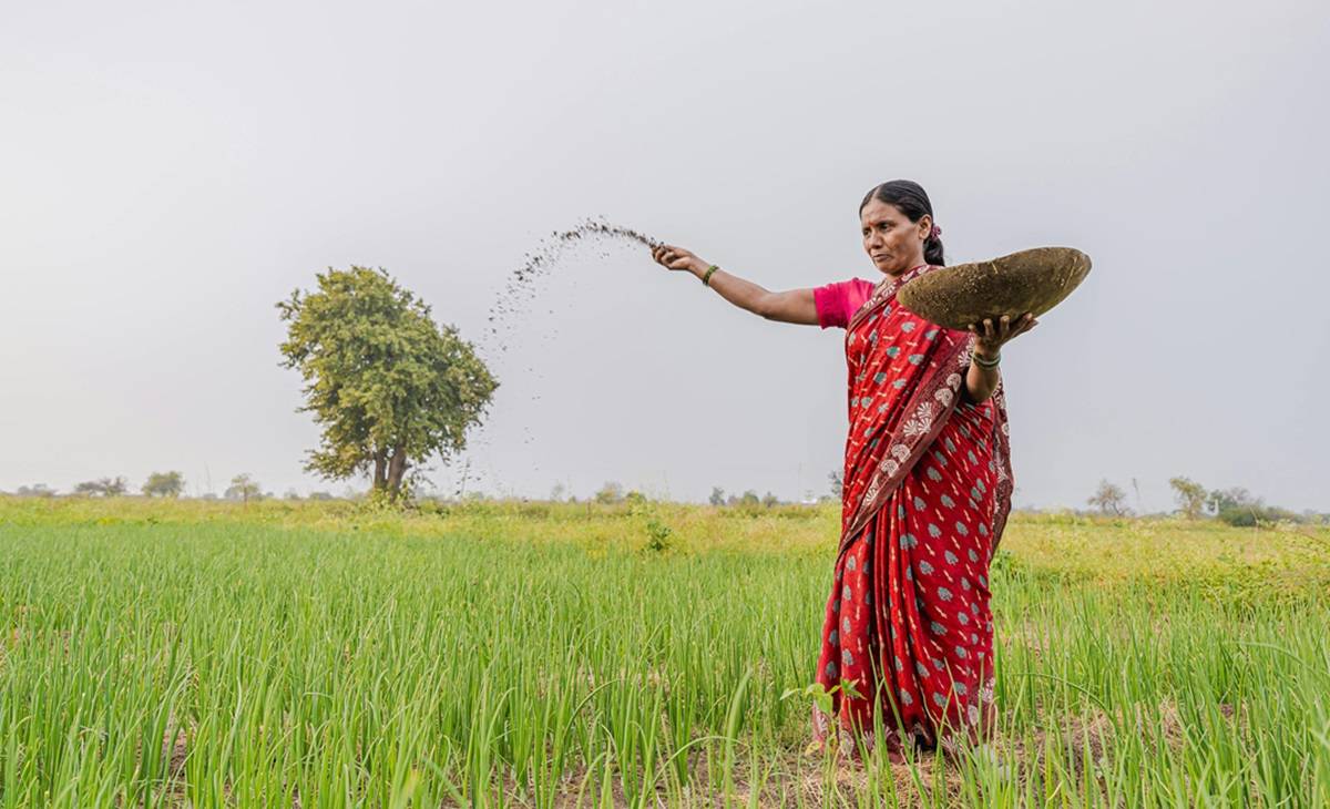 Govt Approves NBS Rates for Kharif Season 2024; Includes 3 New Fertilizer Grades (Photo Source: Pexels)