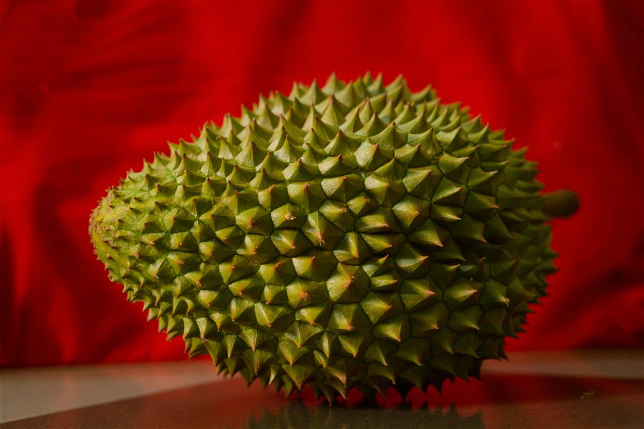 Durian - A Fruit That Is Nutritious But Smelly (Photo Source: Pexels.com)