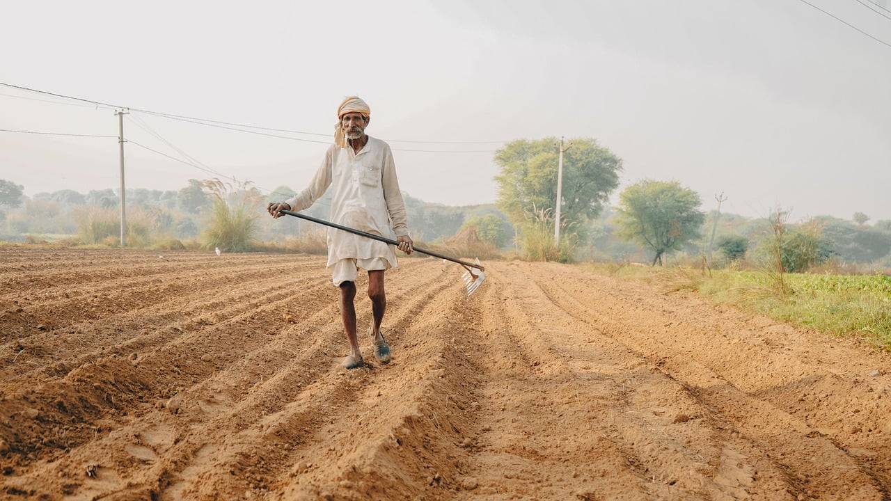 Academic Paper Warns Against Hastily Shift Entirely to Natural Farming (Photo Source: pixabay)