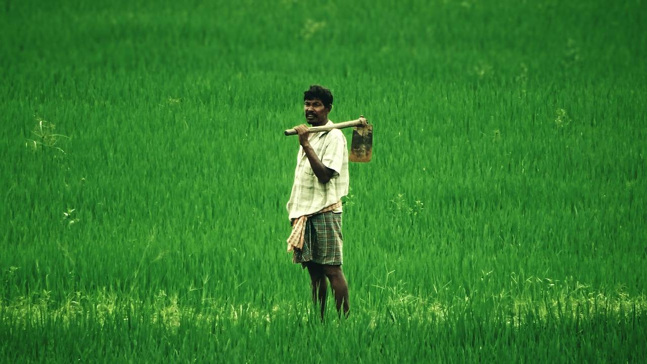 Chhattisgarh to Provide Rs 19,257 per Acre Aid to Farmers Under New Scheme (Photo Source: Pixabay)