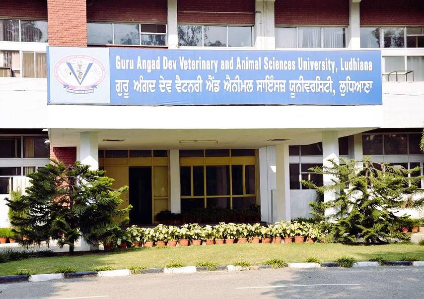 Vet Varsity Announces Names of Progressive Farmers for Chief Minister’s Awards