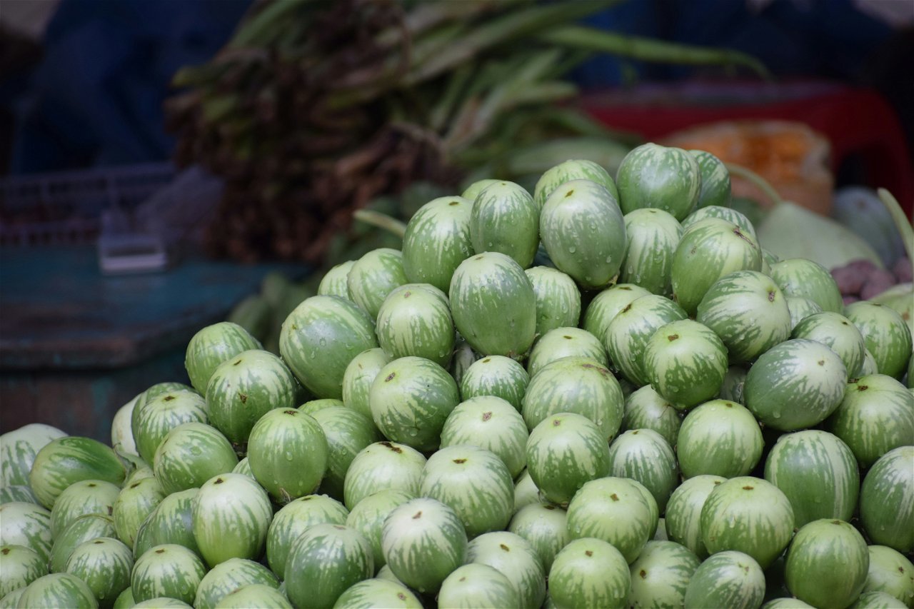 Zaid Crop Management in Jharkhand (Photo Source: Unsplash.com)