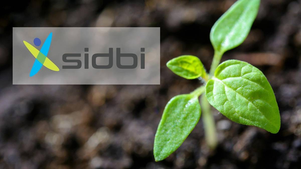 SIDBI Launches USD 120 Mn Avaana Sustainability Fund To Boost Climate ...