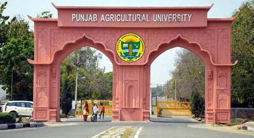 Punjab Agricultural University (Photo Source: PAU)