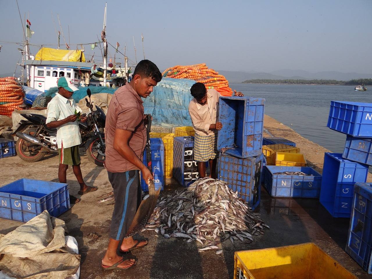 Department of Fisheries Integrates Kisan Credit Card Fisheries Scheme onto JanSamarth Portal (Photo Source: Pixabay)