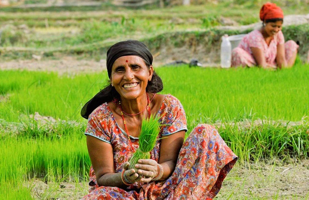 Is Climate-Smart Agriculture the Strategic Investment for Business Sustainability? (Photo Source: FAO elearning Academy)